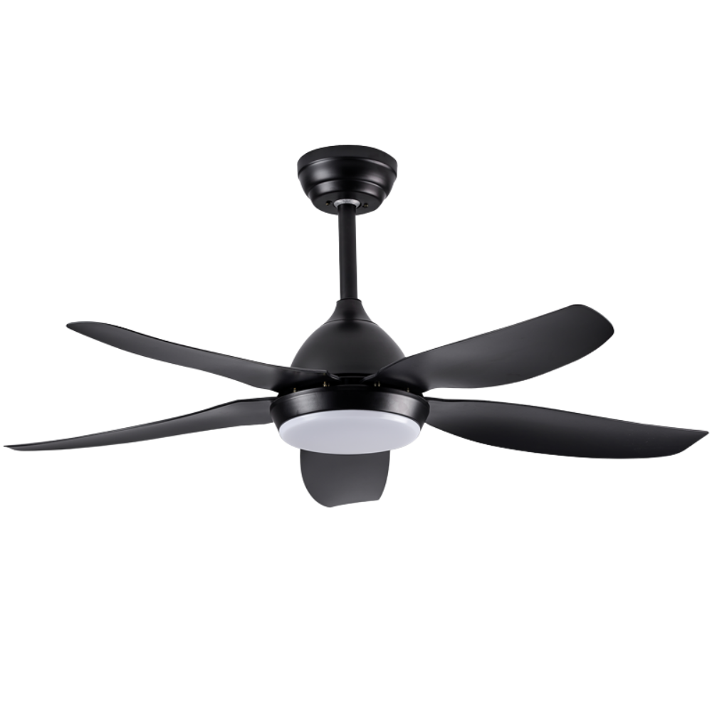 Brightstar FCF096 Black Fan Light
