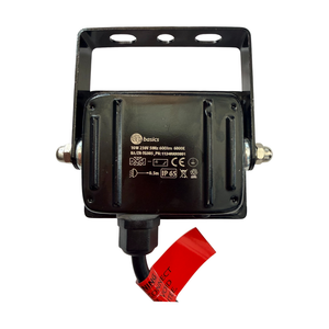 LED Basic 10W 650lm Outdoor Floodlight