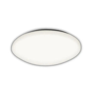 Starlit 12W LED Plain Ceiling Light