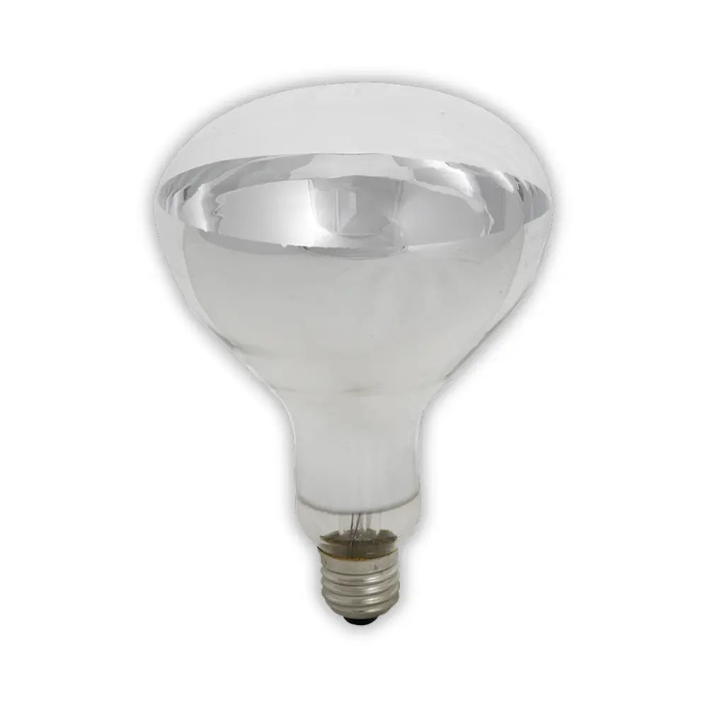 Eurolux 375W Infrared Par38 E27 - Whitehouse Lighting And Electrical