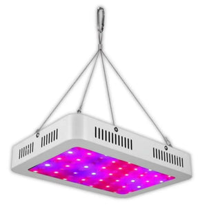 WHL&E 1000W LED Grow Light