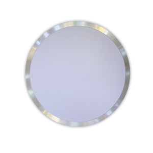 WHL&E 300mm LED Ceiling Light
