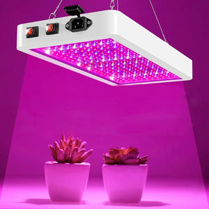 WHL&E 1000W LED Grow Light