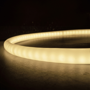 WHL&E 220V Neon Warm White LED Strip Light