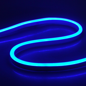 WHL&E 220V Neon Blue LED Strip Light