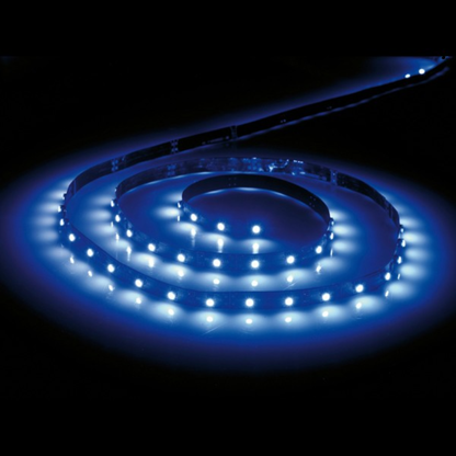 Whitehouse Lighting And Electrical WHL&E Single Blue LED Strip Light  Whitehouse Lighting And Electrical