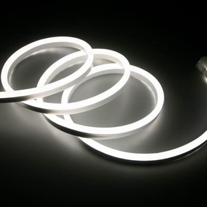 WHL&E 220V Neon Single White LED Strip Light