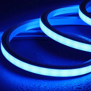 WHL&E 220V Neon Blue LED Strip Light