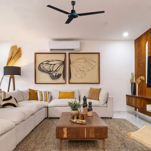 O-Lite OLF-ECO56-B 65W 56in Black Ceiling Fan