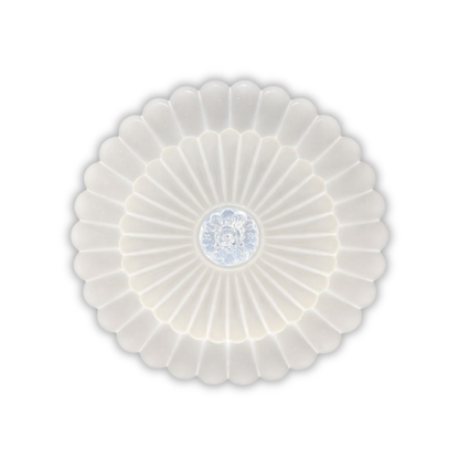 Whitehouse Lighting And Electrical Starlit 48W C504 LED Ceiling Light  Starlit