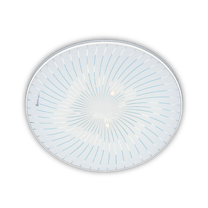 WHL&E CT32W Ceiling Light
