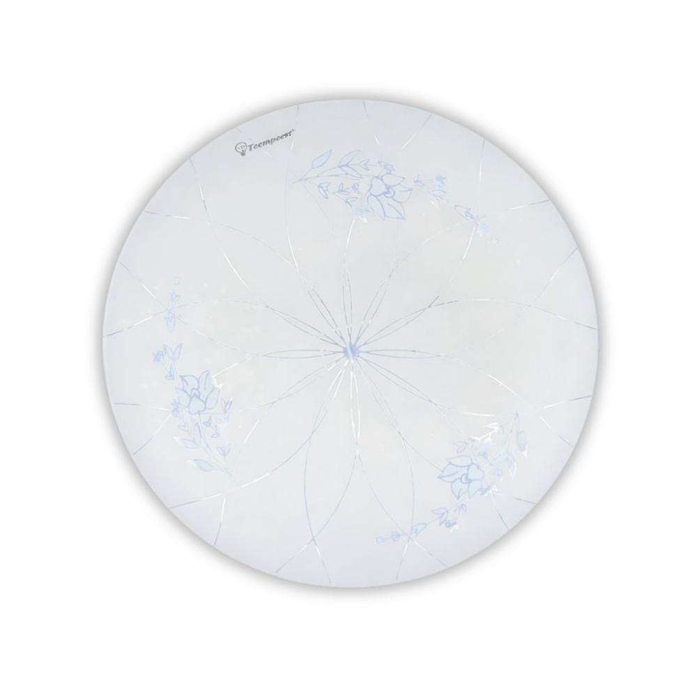 Whitehouse Lighting And Electrical WHL&E CZ18W Ceiling Light  Whitehouse Lighting And Electrical