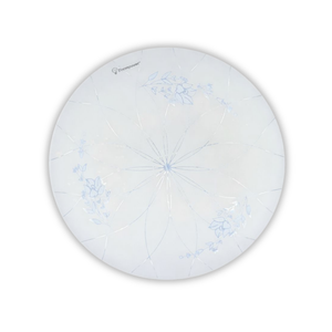 WHL&E CZ18W Ceiling Light