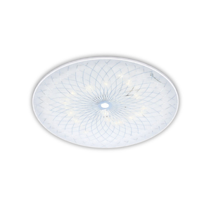WHL&E HG18W Ceiling Light