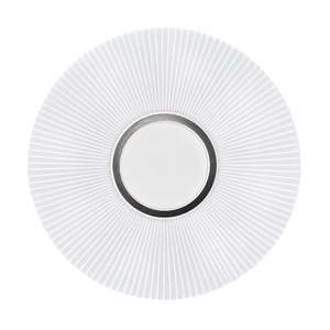WHL&E C3-19 30W Ceiling Light