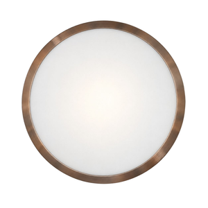WHL&E LED Silver 350MM Ceiling Light