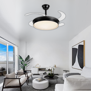 WHL&E F1-07 Retractable Black Ceiling Fan Light