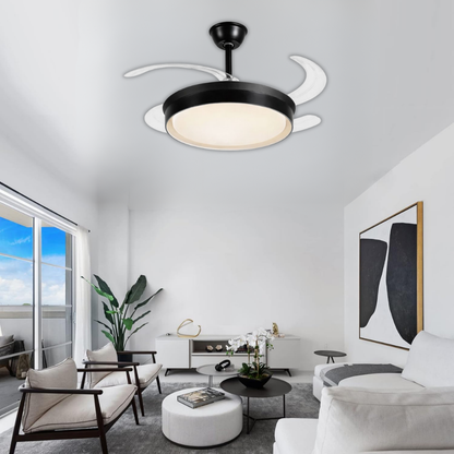 Whitehouse Lighting And Electrical WHL&E F1-07 Black Retractable Fan Light  Whitehouse Lighting And Electrical
