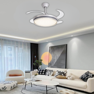 WHL&E F1-06 Retractable Grey And White Ceiling Fan Light