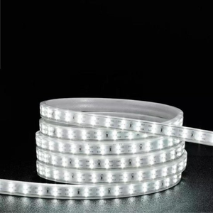 WHL&E 220V Double White LED Strip Light