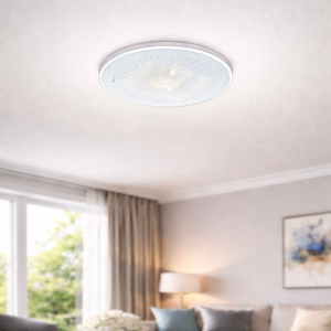 WHL&E CT32W Ceiling Light