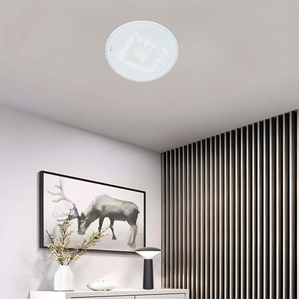 Whitehouse Lighting And Electrical WHL&E CT24W Ceiling Light  Whitehouse Lighting And Electrical