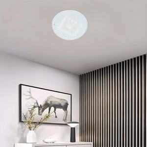 WHL&E CT32W Ceiling Light