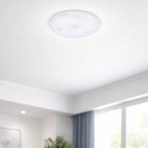 WHL&E CZ32W Ceiling Light