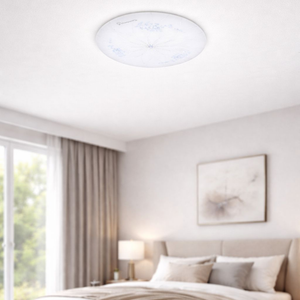 WHL&E CZ18W Ceiling Light