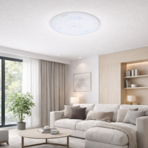 WHL&E CZ18W Ceiling Light