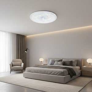 WHL&E HG18W Ceiling Light