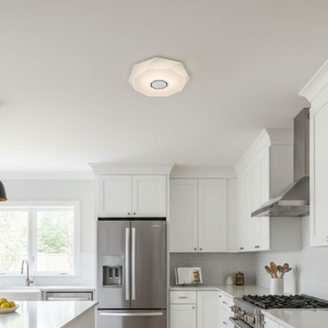 WHL&E JC-BJZS-48W RGB Ceiling Light