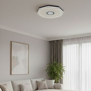 WHL&E JC-BJZS-48W RGB Ceiling Light