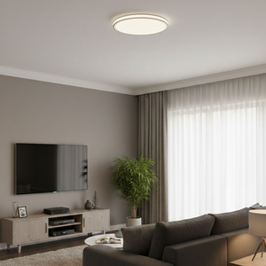 WHL&E JC-LXB-400 48W Ceiling Light