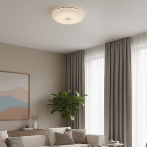 WHL&E JC-SSBK 2 Colour Ceiling Light