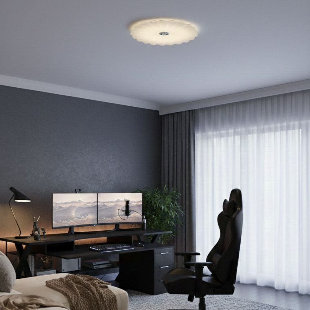 Whitehouse Lighting And Electrical WHL&E JC-SSBK 2 Colour Ceiling Light  Whitehouse Lighting And Electrical