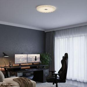 WHL&E JC-SSBK 2 Colour Ceiling Light