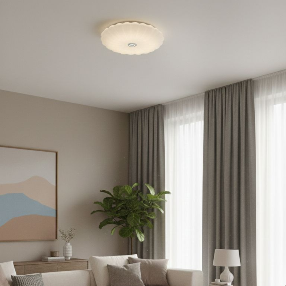 Whitehouse Lighting And Electrical WHL&E JC-SSBK 2 Colour Ceiling Light  Whitehouse Lighting And Electrical