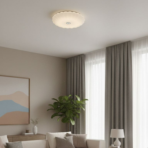 WHL&E JC-SSBK 2 Colour Ceiling Light