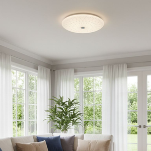 WHL&E LS18W Ceiling Light