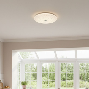 WHL&E LS18W Ceiling Light