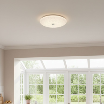 Whitehouse Lighting And Electrical WHL&E LS18W Ceiling Light  Whitehouse Lighting And Electrical