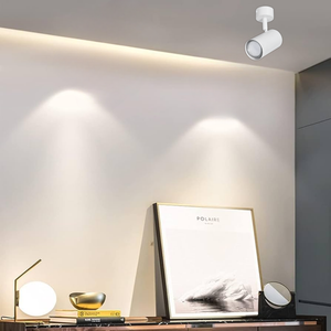 Brightstar S177/1 Metal Matt White Spotlight