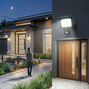 Flash 30W With Motion Sensor LED Floodlight