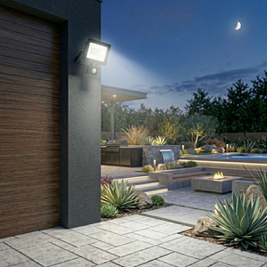 Flash 30W With Motion Sensor LED Floodlight