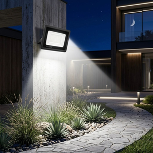 Flash 30W Day And Night Sensor Floodlight