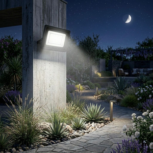 Flash 30W Day And Night Sensor Floodlight