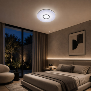 WHL&E C3-18 24W Ceiling Light