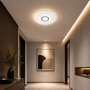 WHL&E C3-20 36W Ceiling Light
