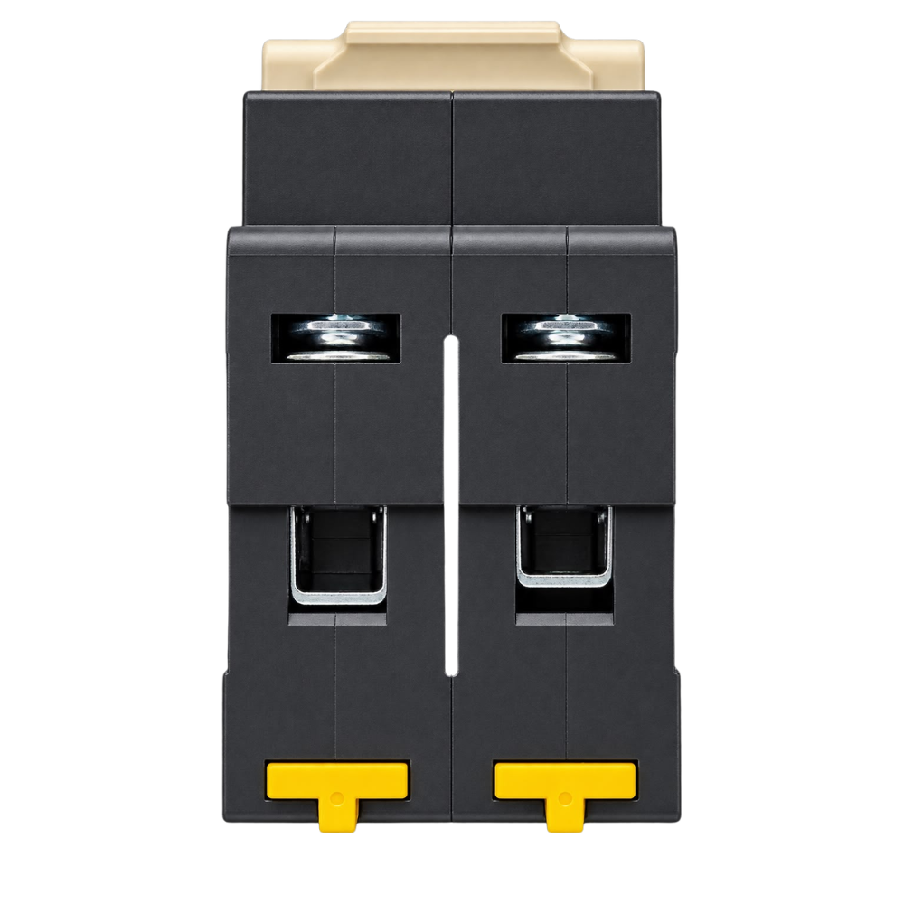 Whitehouse Lighting And Electrical NUR 63A 2 Pole 6kA Samite Circuit Breaker  NUR